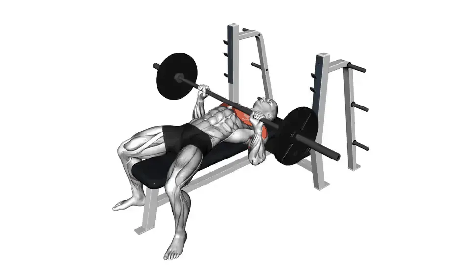 Développé couché à la barre — Barbell Bench Press