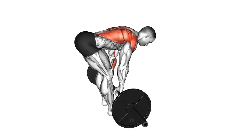 Rowing barre buste penché — Barbell Bent Over Row