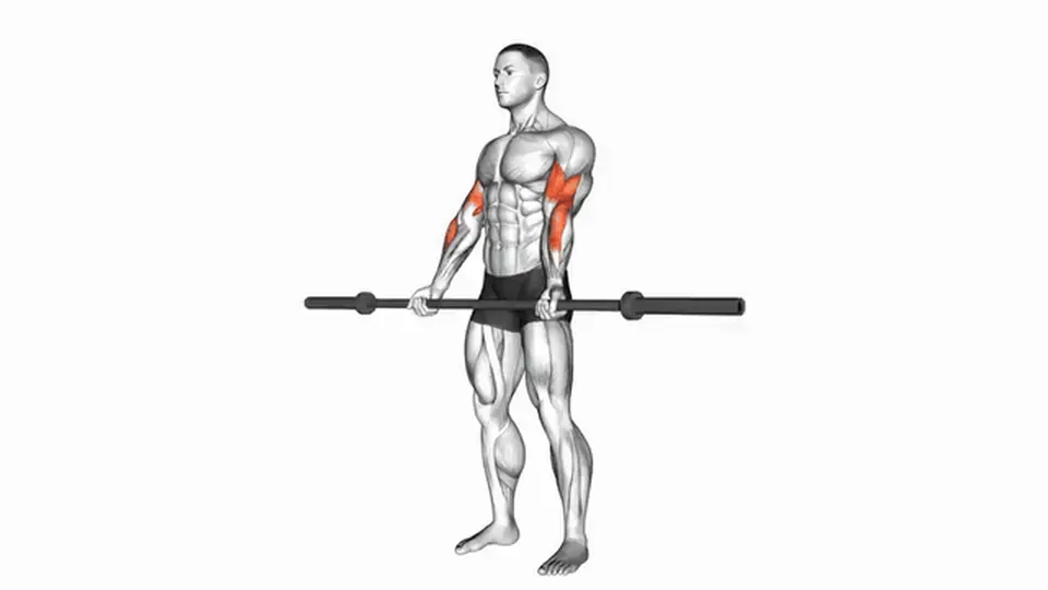 Curl à la barre — Barbell Curl