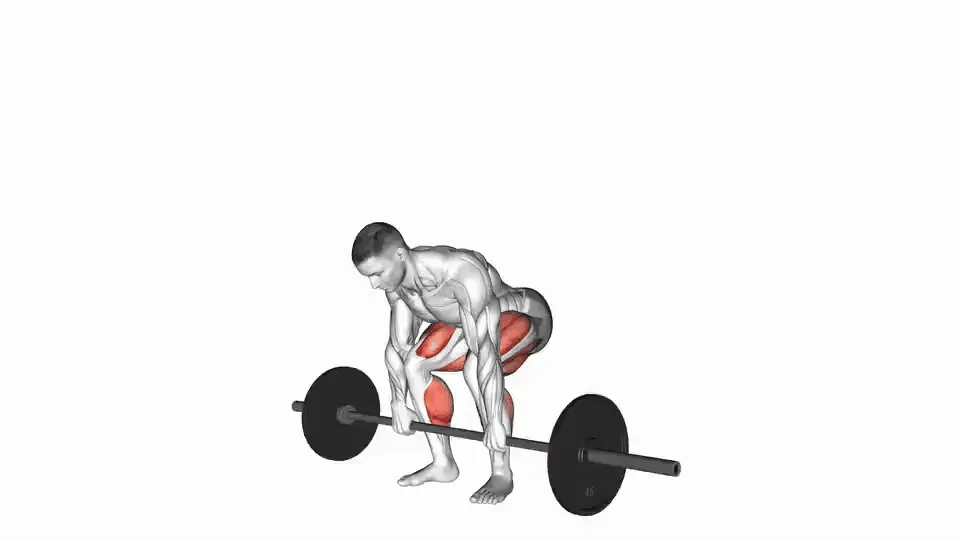 Soulevé de terre — Barbell Deadlift