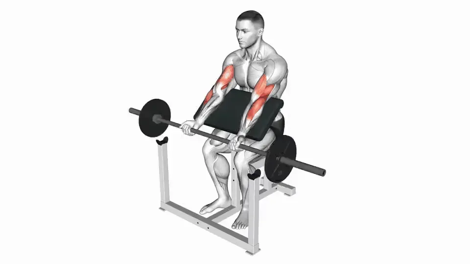 Curl au pupitre (Larry Scott) — Barbell Preacher Curl