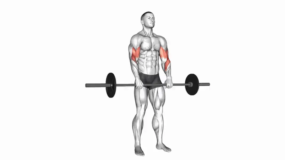 Curl inversé à la barre — Barbell Reverse Curl