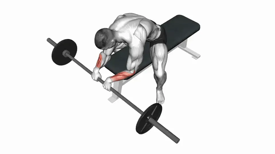 Curl poignets inversé à la barre — Barbell Reverse Wrist Curl