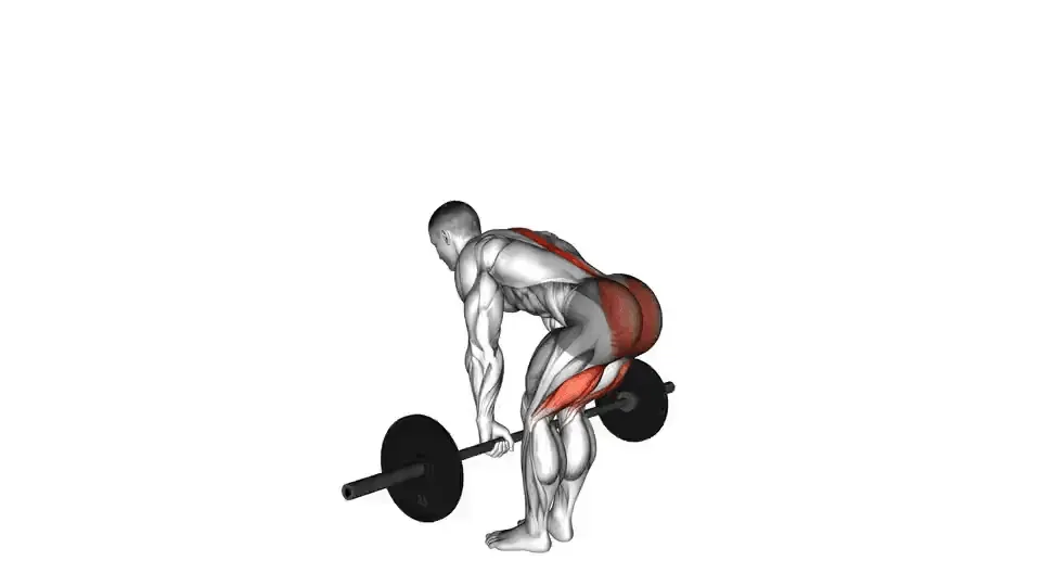 Soulevé de terre roumain — Barbell Romanian Deadlift