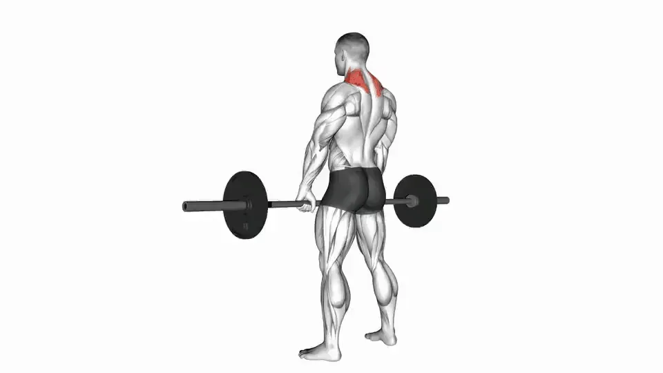 Shrug à la barre — Barbell Shrug