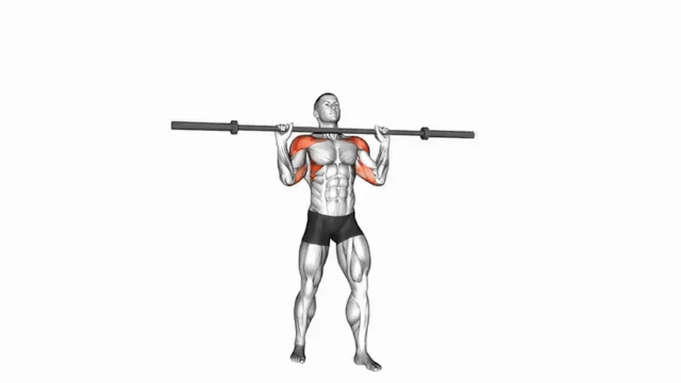 Développé militaire debout — Barbell Standing Military Press