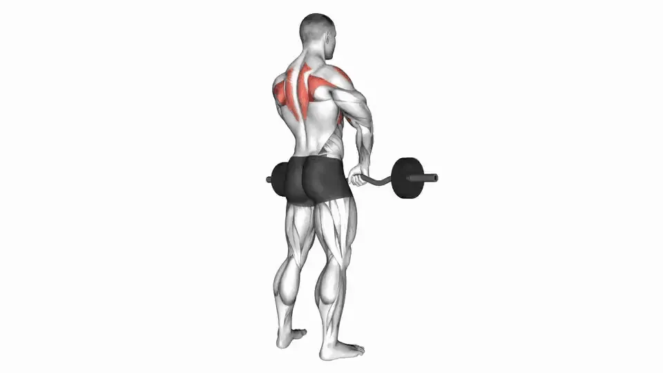 Rowing menton à la barre — Barbell Upright Row