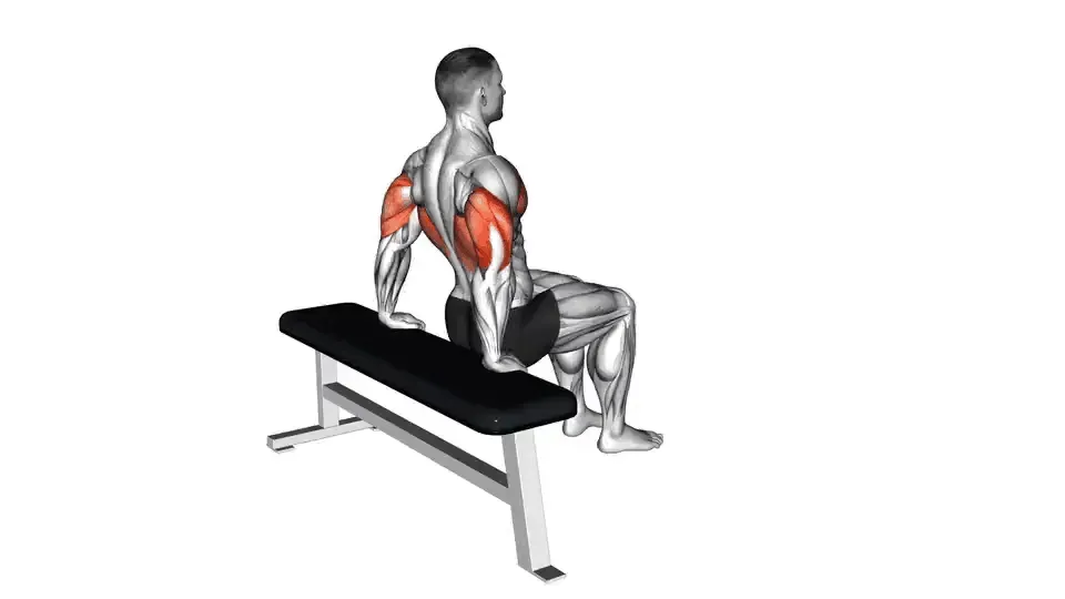 Dips sur banc — Bench Dip
