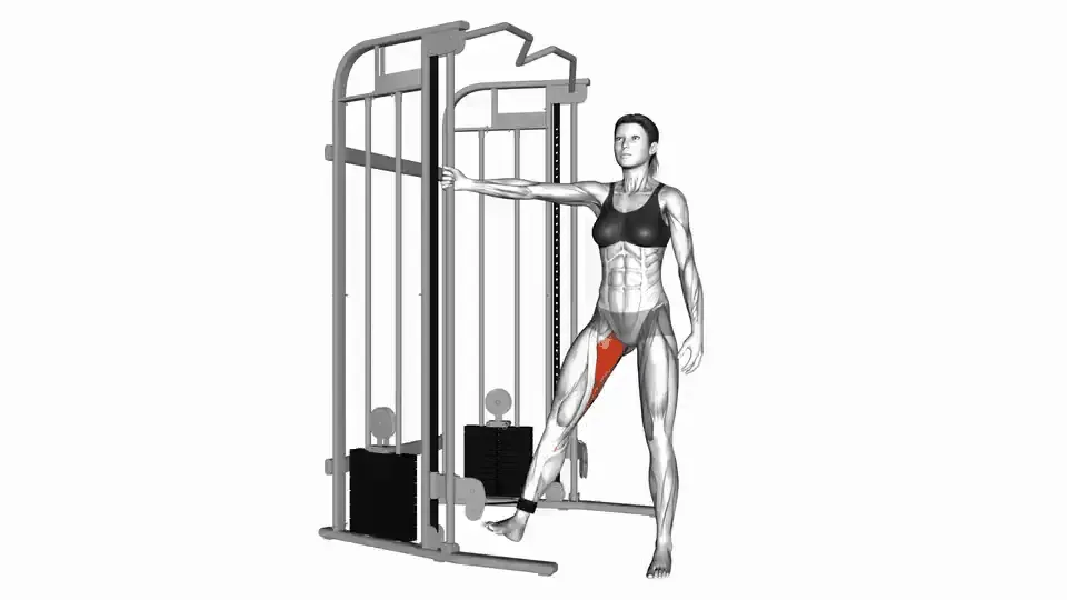 Adduction à la poulie — Cable Hip Adduction