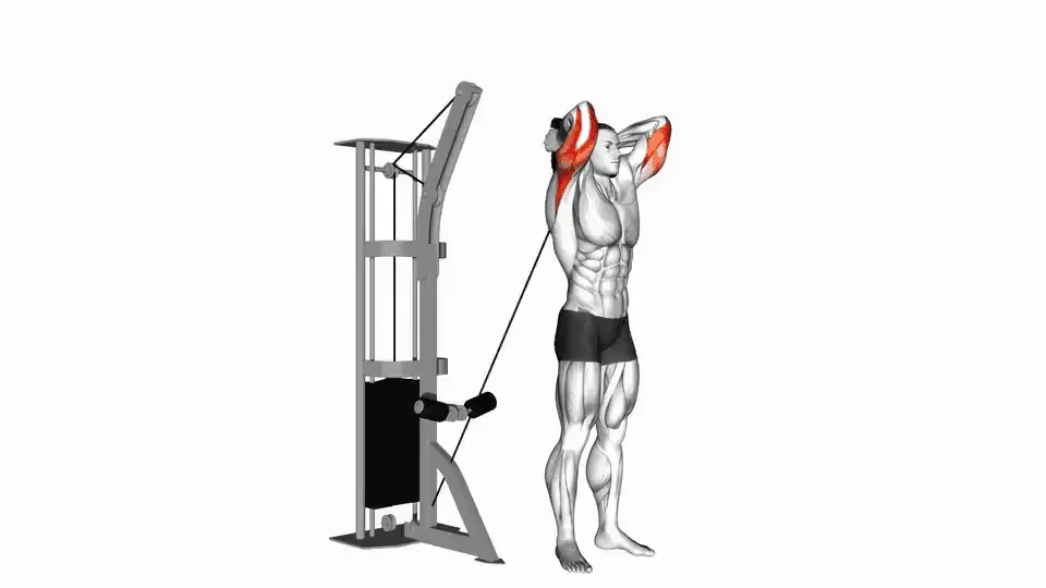 Extension triceps à la poulie au-dessus de la tête — Cable Overhead Triceps Extension
