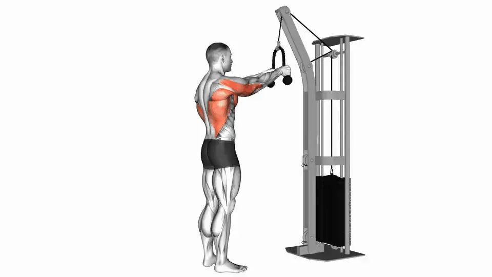 Pull-over à la poulie bras tendus — Cable Straight Arm Pulldown