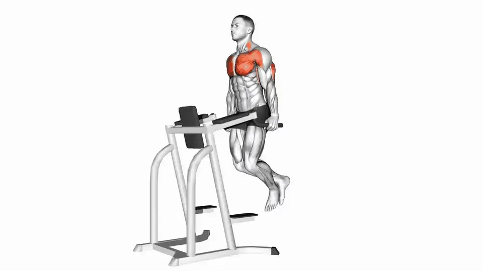 Dips pour les pectoraux — Chest Dip