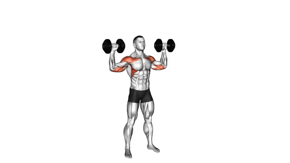 Développé épaules aux haltères — Dumbbell Shoulder Press