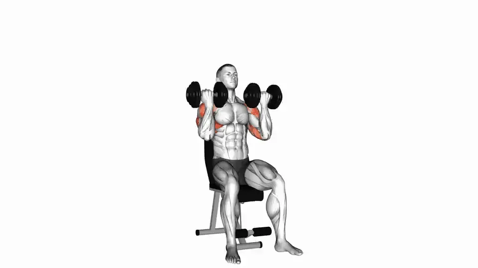 Développé Arnold — Dumbbell Arnold Press