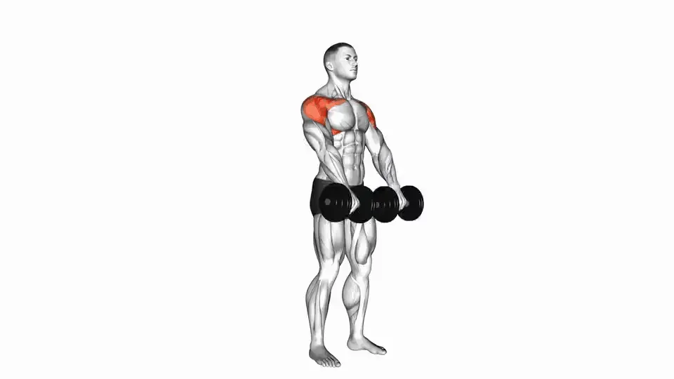 Élévations frontales aux haltères — Dumbbell Front Raise