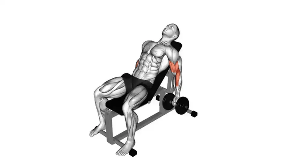 Curl incliné aux haltères — Dumbbell Incline Curl