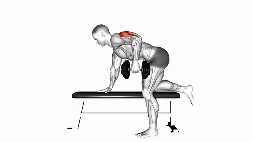 Kickback aux haltères — Dumbbell Kickback