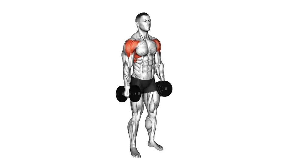 Élévations latérales aux haltères — Dumbbell Lateral Raise