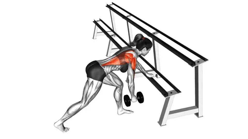 Rowing unilatéral à l'haltère — Dumbbell One Arm Row