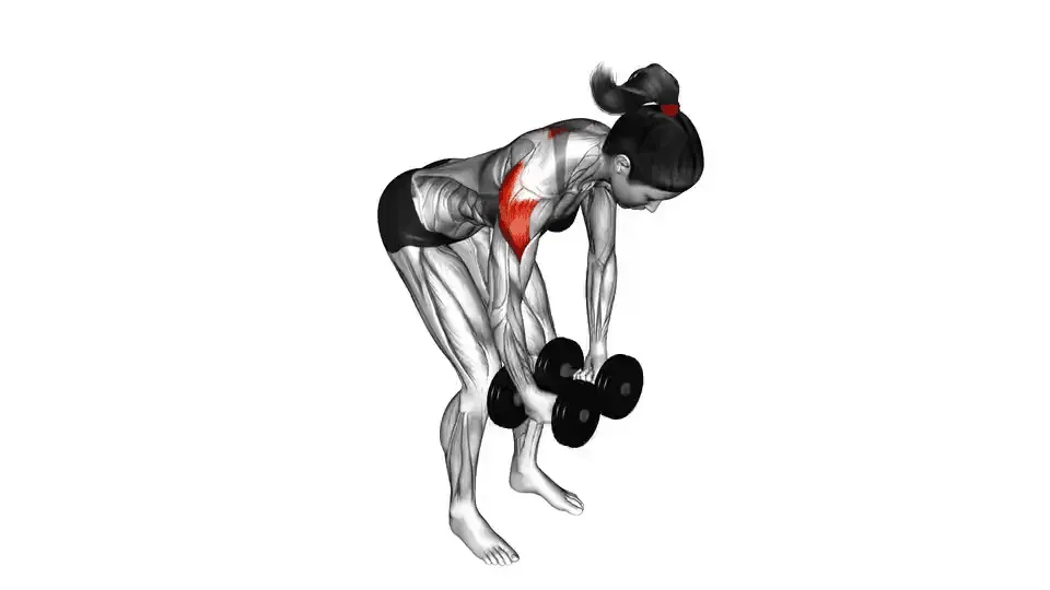 Oiseau aux haltères — Dumbbell Rear Delt Fly