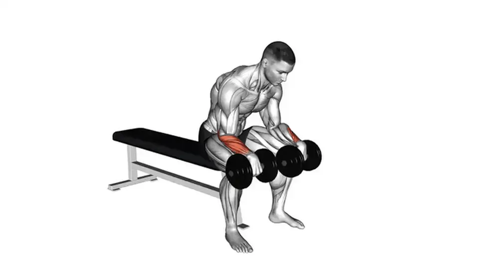 Curl poignets inversé aux haltères — Dumbbell Reverse Wrist Curl