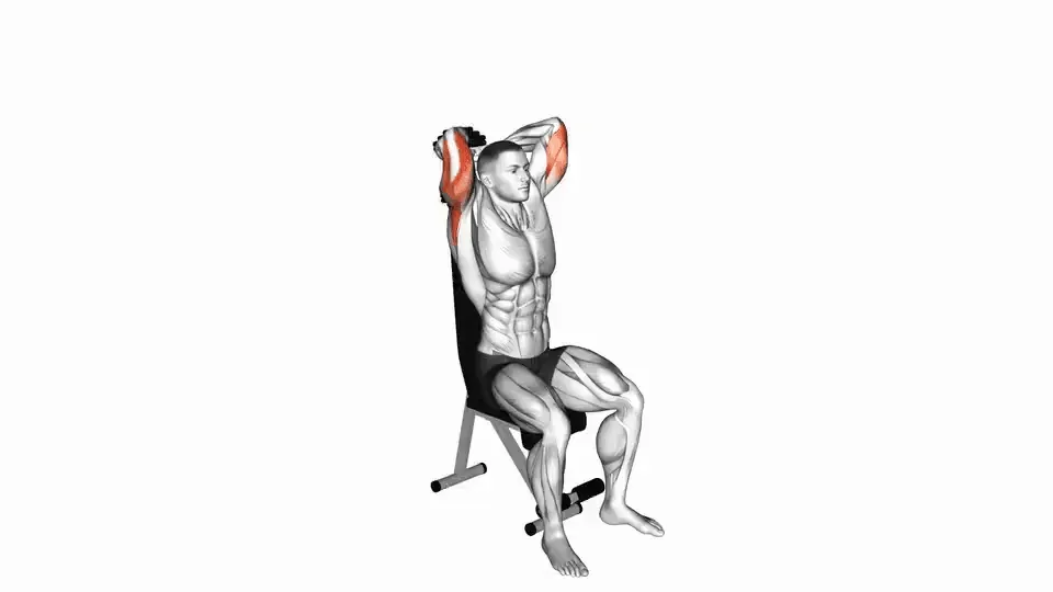 Extension triceps assis à l'haltère — Dumbbell Seated Triceps Extension