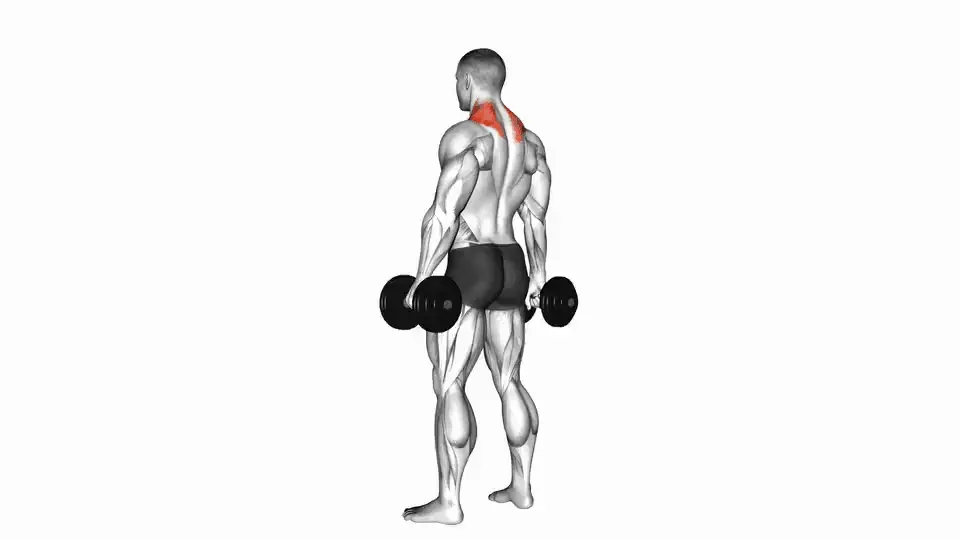 Shrug aux haltères — Dumbbell Shrug