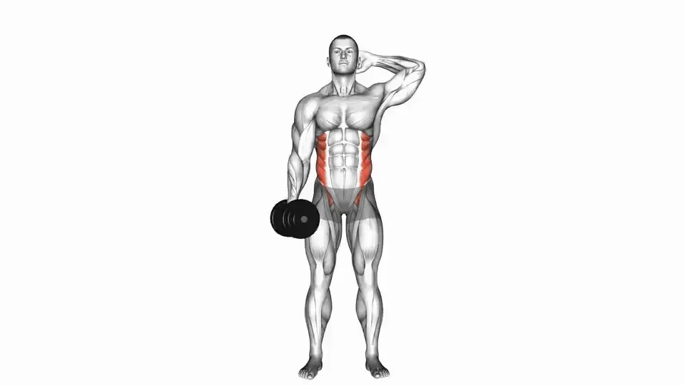 Flexion latérale à l'haltère — Dumbbell Side Bend