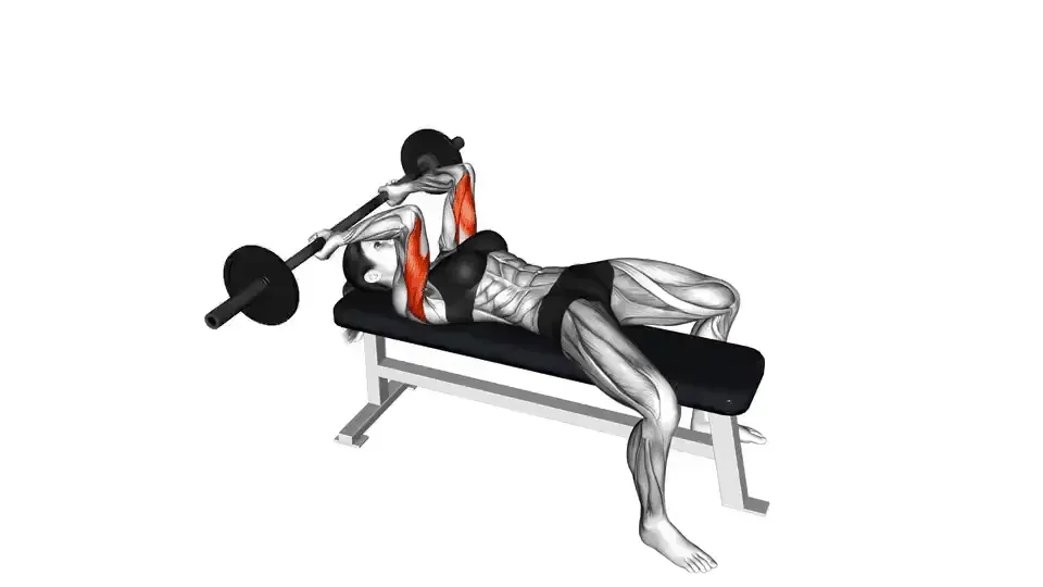 Barre au front (skull crusher) — EZ Barbell Lying Triceps Extension
