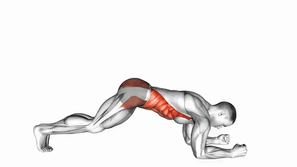 Gainage (planche) — Front Plank