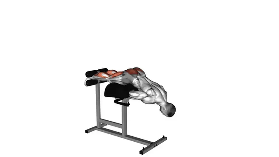 Glute ham raise — Glute Ham Raise