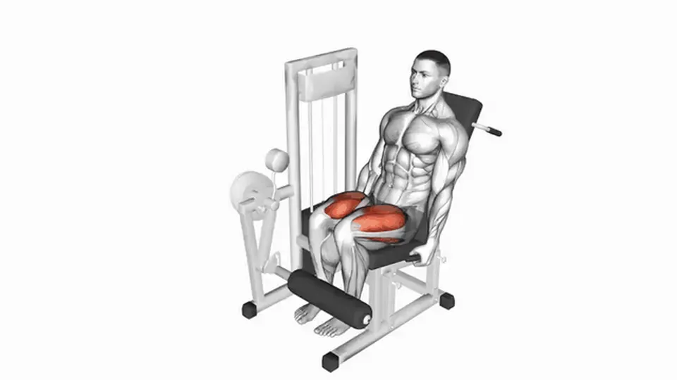 Leg extension — Lever Leg Extension