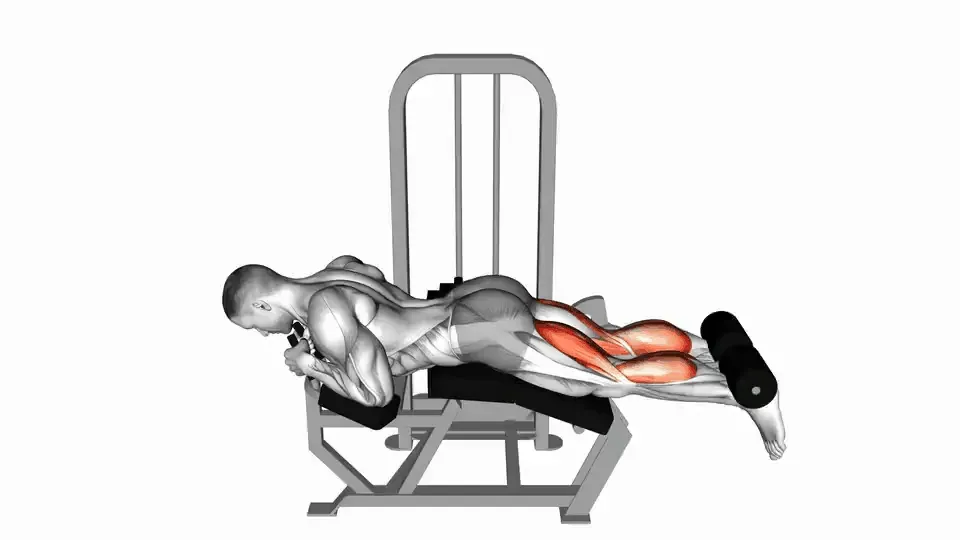 Leg curl allongé — Lever Lying Leg Curl