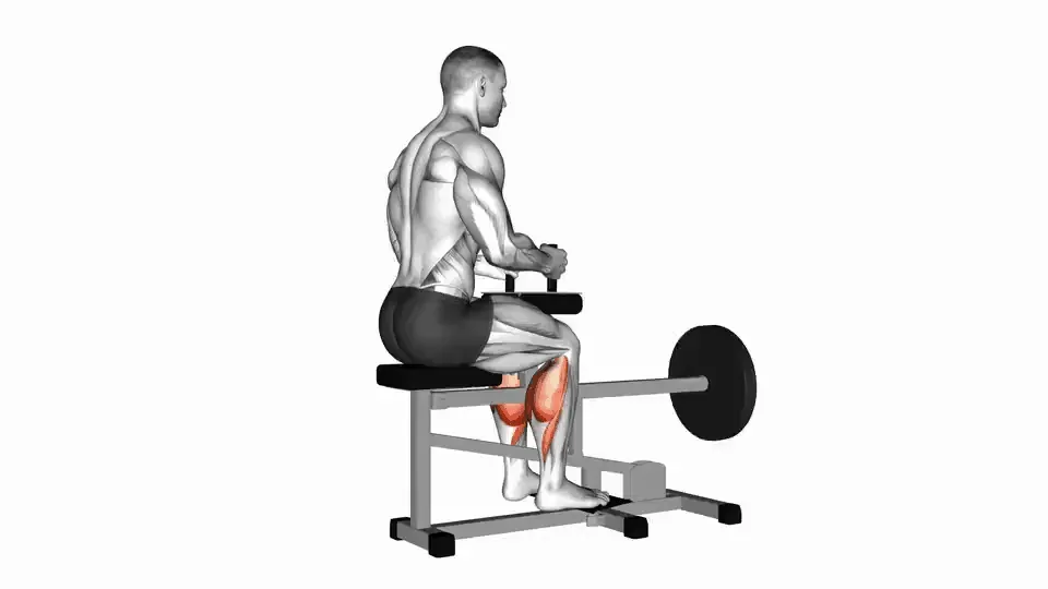 Mollets assis à la machine — Lever Seated Calf Raise