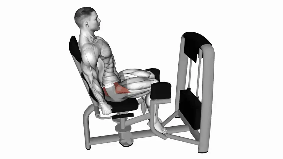 Abducteurs à la machine — Hip Abduction Machine