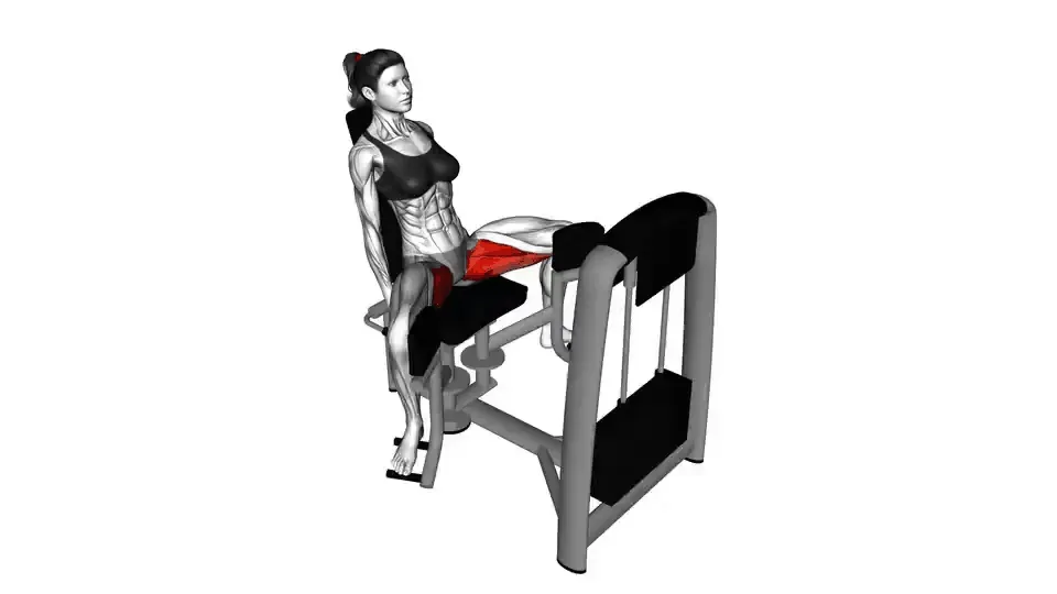 Adducteurs à la machine — Hip Adduction Machine