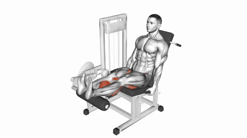 Leg curl assis — Seated Leg Curl