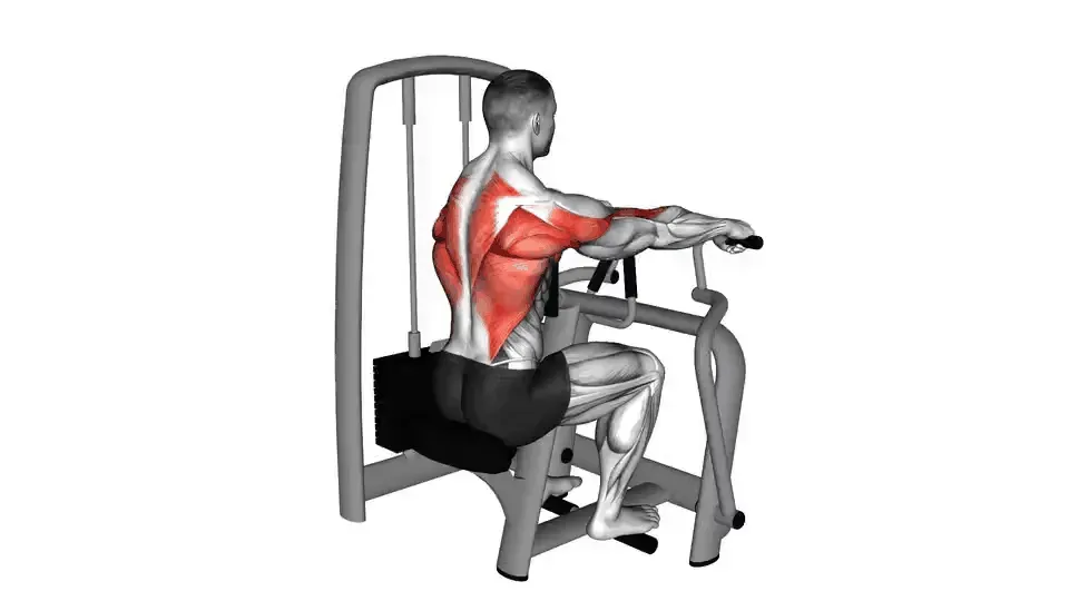 Rowing assis à la machine — Lever Seated Row