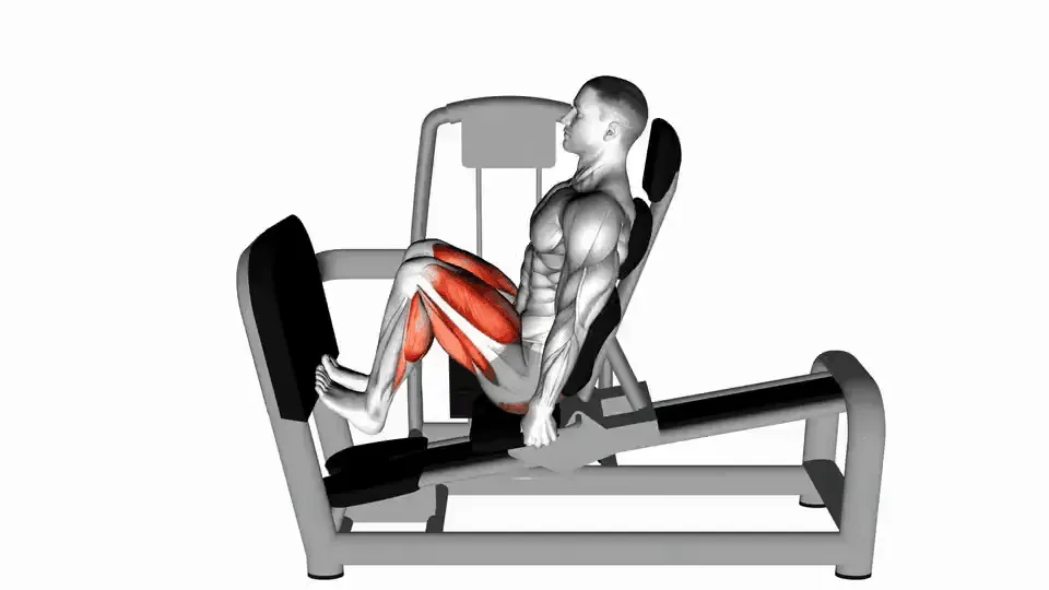 Mollets à la presse — Leg Press Calf Raise