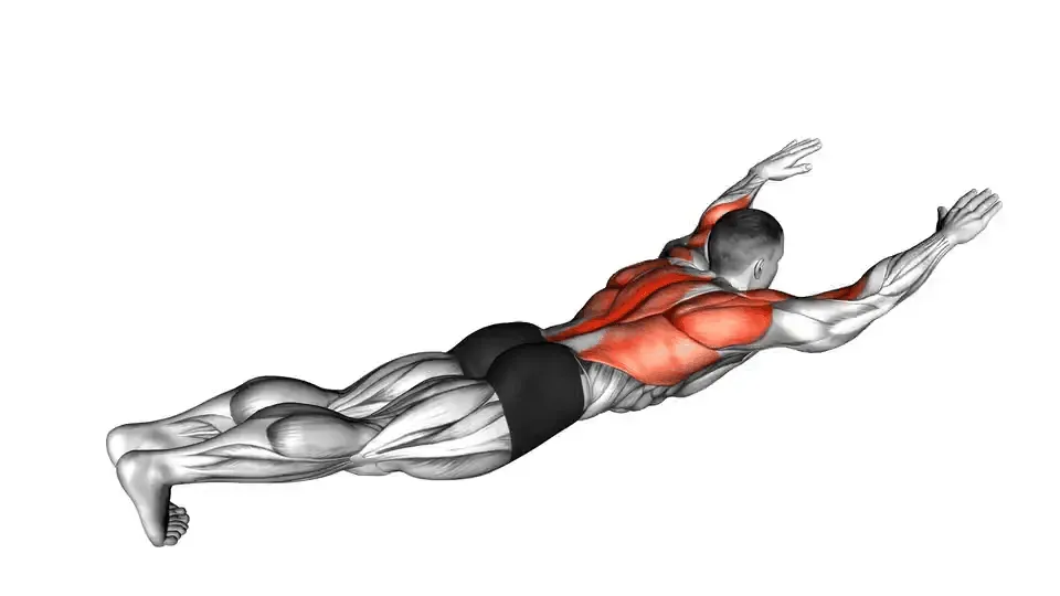 Tirage vertical à la poulie — Lat Pulldown