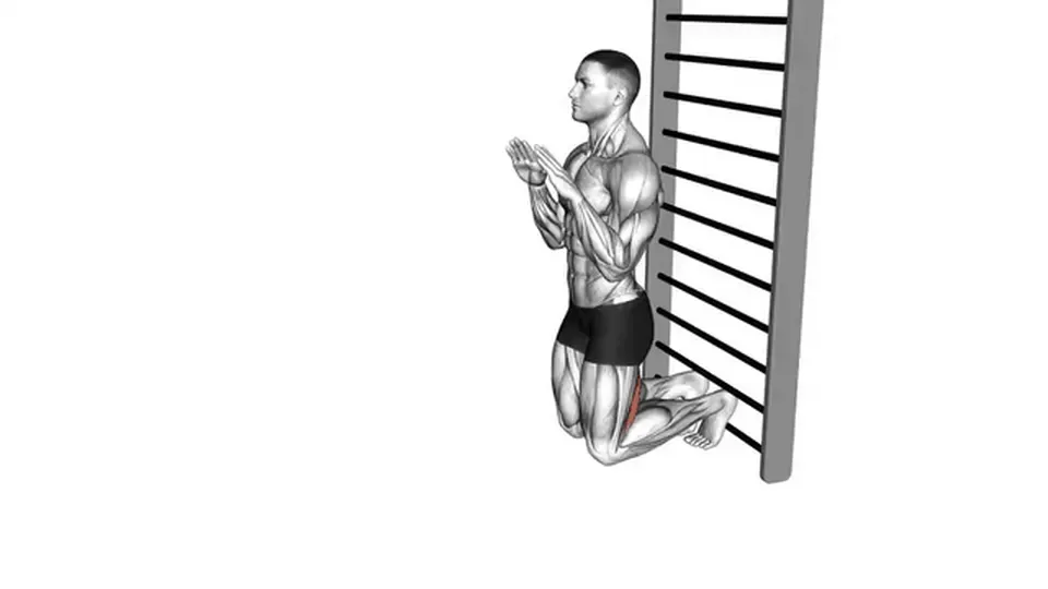 Nordic hamstring curl — Nordic Hamstring Curl