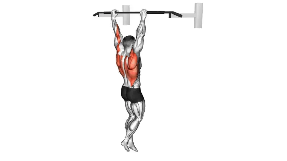 Tractions — Pull-Up