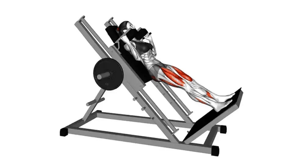 Hack squat — Sled Hack Squat