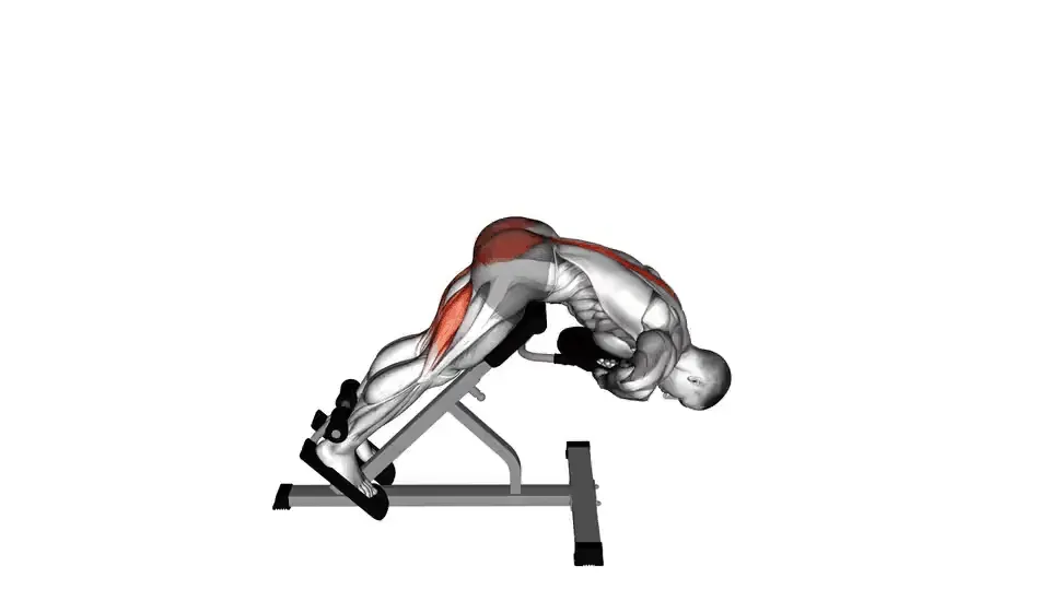 Extension lombaire lestée — Weighted Hyperextension