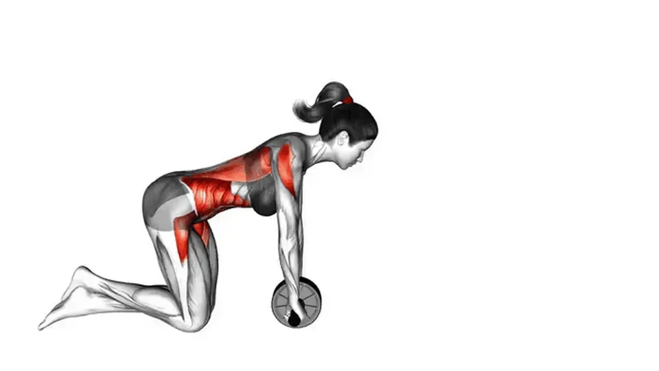 Roue abdominale — Ab Wheel Rollout